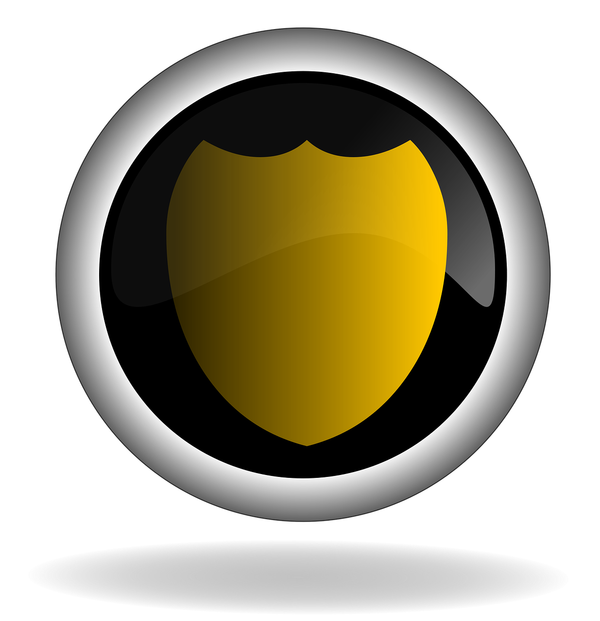 Protection Shield